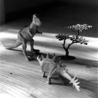 Dinosaurs, Novato, 2003
