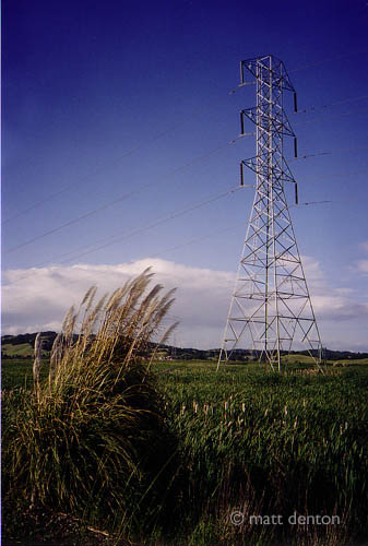 Wetlands 2, Novato 2003