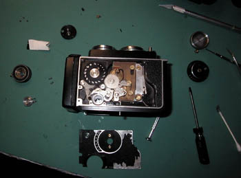 walzflex in pieces